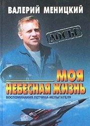 Обложка: Моя небесная жизнь