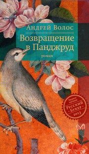 Обложка: Возвращение в Панджруд