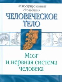 Обложка: Мозг и нервная система человека