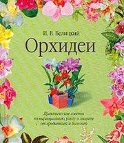 Обложка: Орхидеи