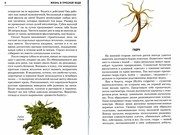 Обложка: Жизнь в пресной воде