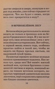 Обложка: Лесная газета