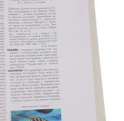 Обложка: Сен-Жерменский мир 1679 - Социальное обеспечение