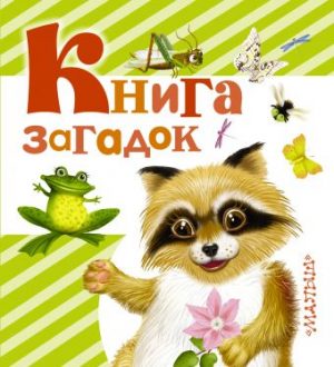 Обложка: Книга загадок