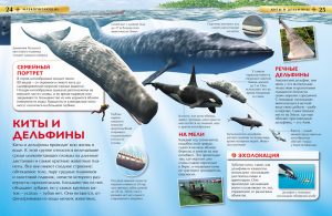 Обложка: Млекопитающие