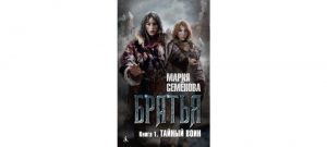 Обложка: Тайный воин