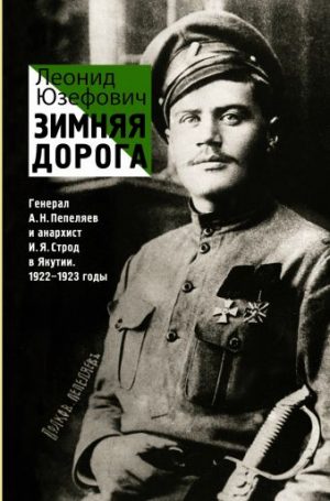 Обложка: Зимняя дорога