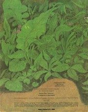 Обложка: Стрекоза и Муравей