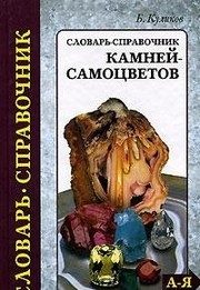 Обложка: Словарь-справочник камней-самоцветов