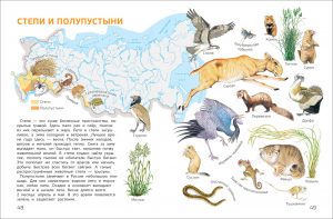 Обложка: Мир и человек