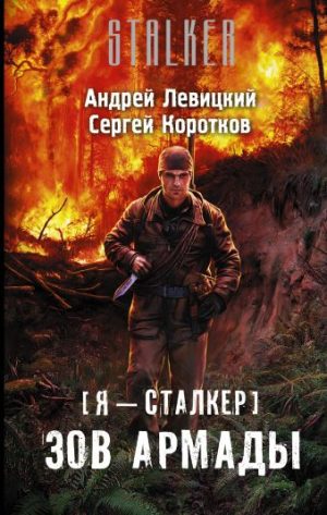 Обложка: Я - сталкер. Зов Армады