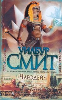Обложка: Чародей