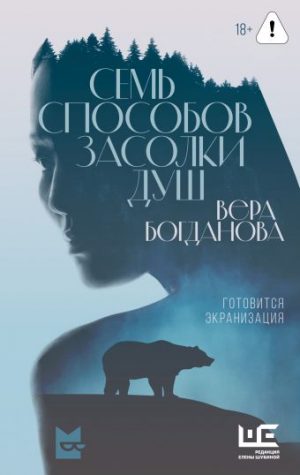 Обложка: Семь способов засолки душ