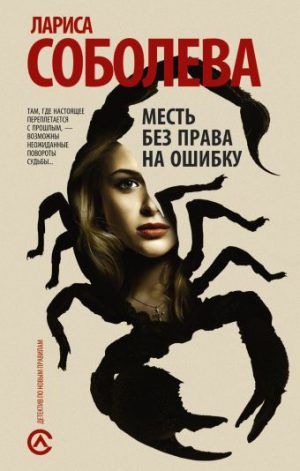 Обложка: Месть без права на ошибку