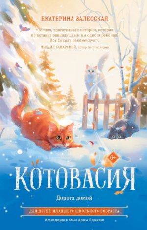 Обложка: Котовасия. Дорога домой